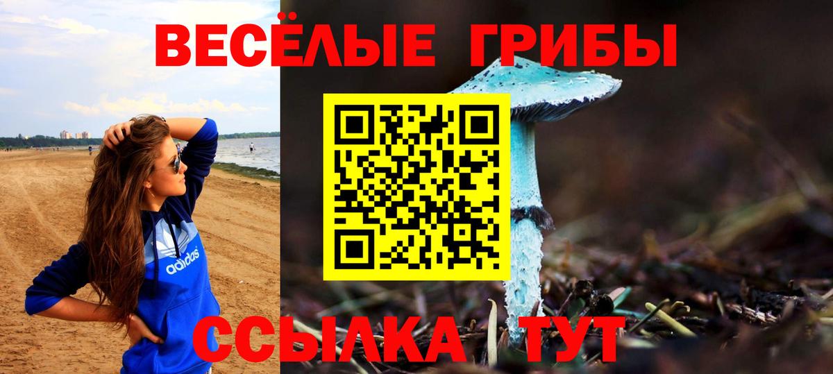 Псилоцибиновые грибы прущие грибы Ленинск-Кузнецкий