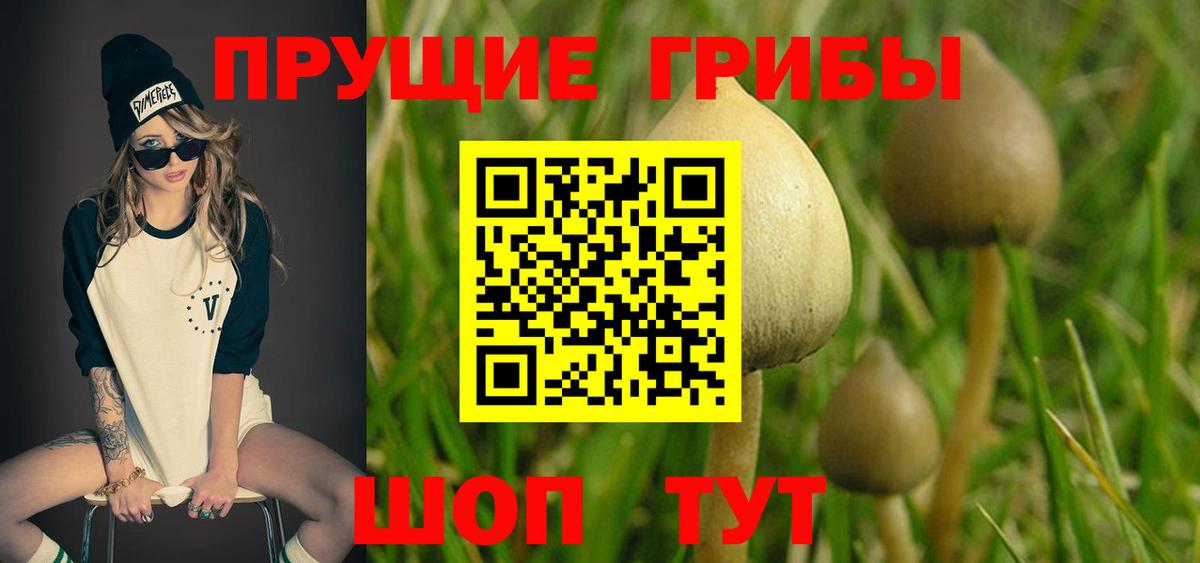 Галлюциногенные грибы прущие грибы  Галлюциногенные грибы GOLDEN TEACHER  Вход с VPN  Ленинск-Кузнецкий 